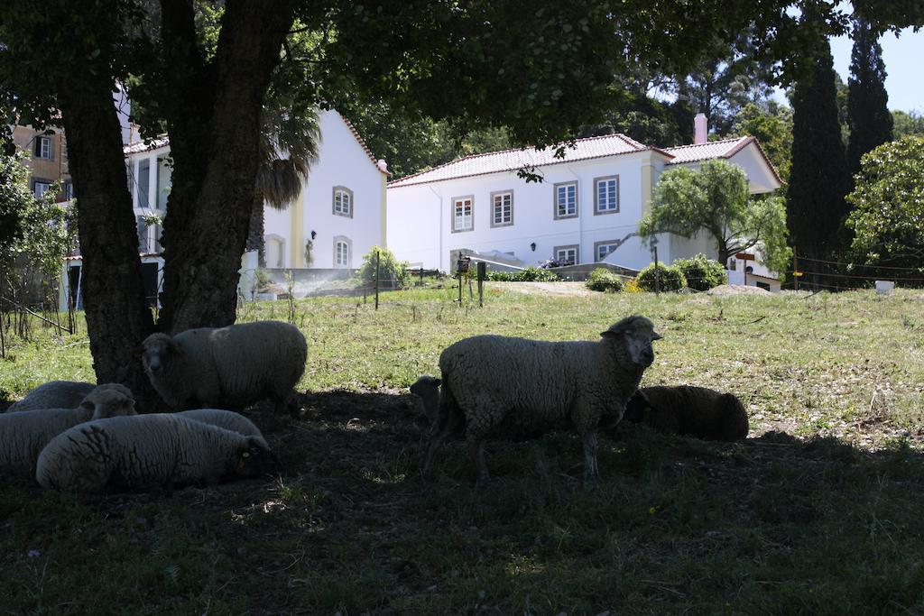Eugaria Country House By Lost Lisbon Σίντρα Εξωτερικό φωτογραφία
