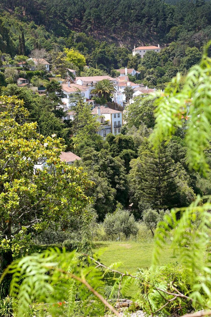 Eugaria Country House By Lost Lisbon Σίντρα Εξωτερικό φωτογραφία